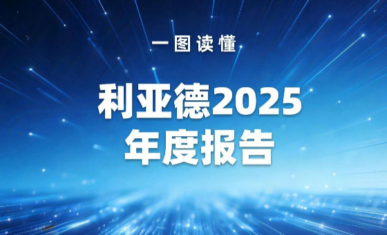 一图读懂 | 利亚德2025年度报告